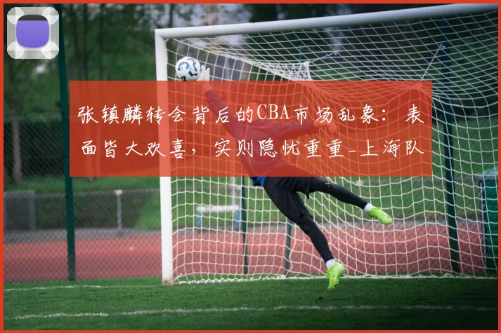张镇麟转会背后的CBA市场乱象:表面皆大欢喜,实则隐忧重重_上海队_联赛_辽宁