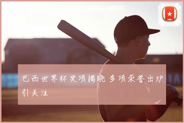 巴西世界杯奖项揭晓 多项荣誉出炉引关注